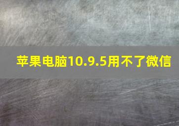 苹果电脑10.9.5用不了微信