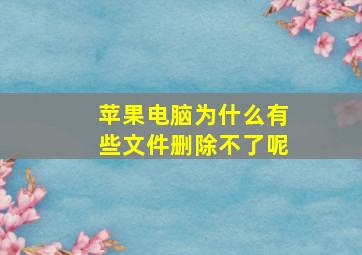 苹果电脑为什么有些文件删除不了呢