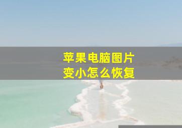 苹果电脑图片变小怎么恢复