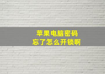 苹果电脑密码忘了怎么开锁啊