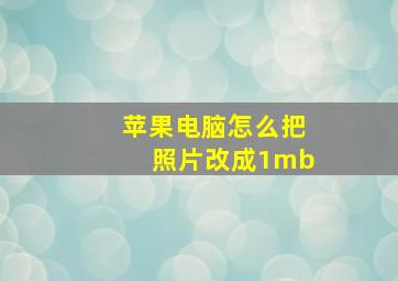 苹果电脑怎么把照片改成1mb