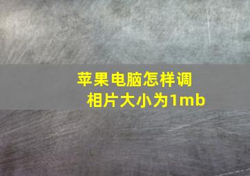 苹果电脑怎样调相片大小为1mb