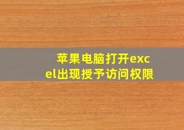 苹果电脑打开excel出现授予访问权限