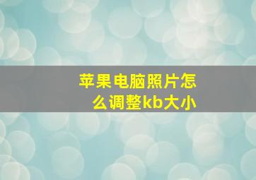 苹果电脑照片怎么调整kb大小