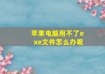 苹果电脑用不了exe文件怎么办呢