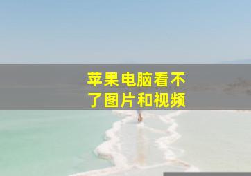 苹果电脑看不了图片和视频