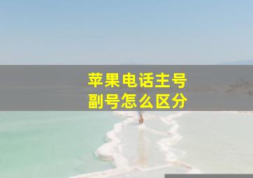 苹果电话主号副号怎么区分