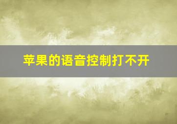 苹果的语音控制打不开