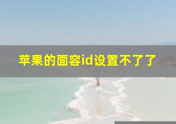 苹果的面容id设置不了了