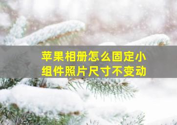 苹果相册怎么固定小组件照片尺寸不变动