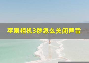 苹果相机3秒怎么关闭声音