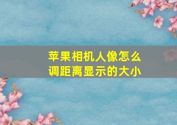 苹果相机人像怎么调距离显示的大小