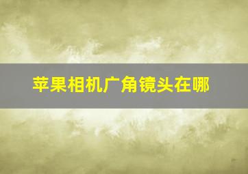 苹果相机广角镜头在哪