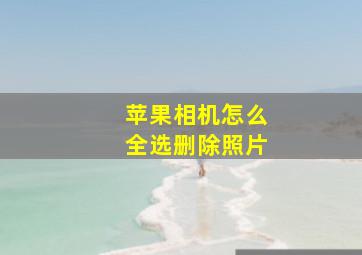 苹果相机怎么全选删除照片