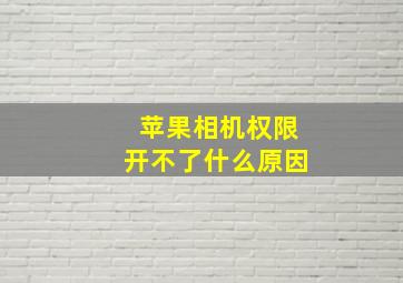 苹果相机权限开不了什么原因