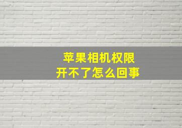 苹果相机权限开不了怎么回事