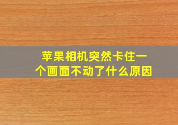 苹果相机突然卡住一个画面不动了什么原因