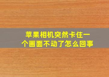 苹果相机突然卡住一个画面不动了怎么回事