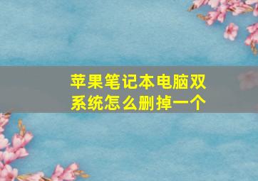 苹果笔记本电脑双系统怎么删掉一个