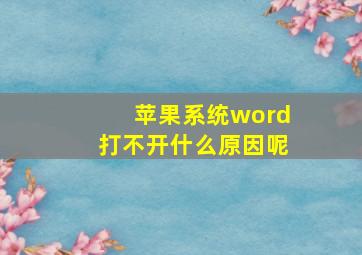 苹果系统word打不开什么原因呢