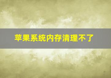 苹果系统内存清理不了