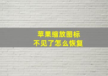 苹果缩放图标不见了怎么恢复