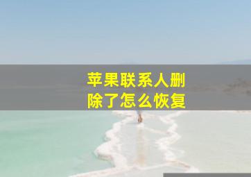 苹果联系人删除了怎么恢复