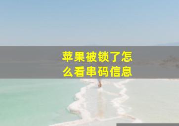 苹果被锁了怎么看串码信息