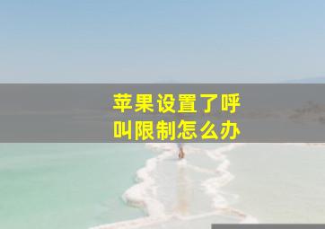 苹果设置了呼叫限制怎么办