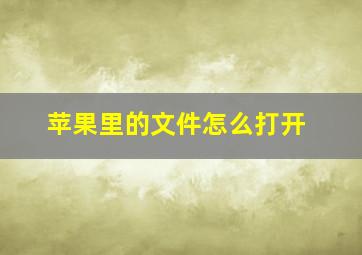 苹果里的文件怎么打开