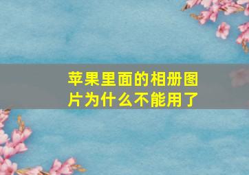 苹果里面的相册图片为什么不能用了