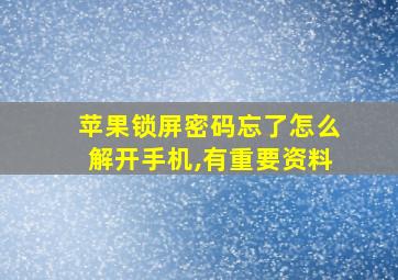 苹果锁屏密码忘了怎么解开手机,有重要资料