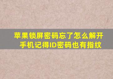 苹果锁屏密码忘了怎么解开手机记得ID密码也有指纹