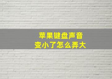 苹果键盘声音变小了怎么弄大