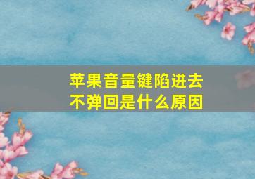 苹果音量键陷进去不弹回是什么原因