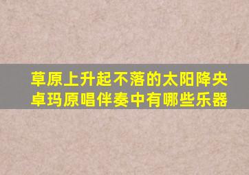 草原上升起不落的太阳降央卓玛原唱伴奏中有哪些乐器