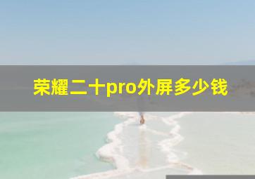 荣耀二十pro外屏多少钱