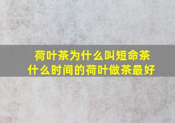 荷叶茶为什么叫短命茶什么时间的荷叶做茶最好