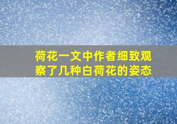 荷花一文中作者细致观察了几种白荷花的姿态