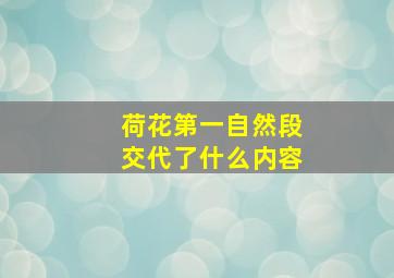 荷花第一自然段交代了什么内容