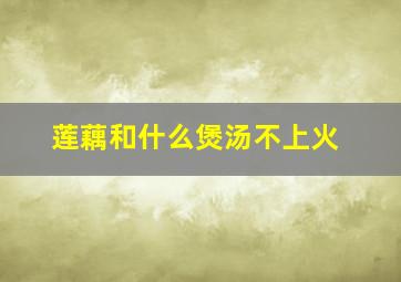 莲藕和什么煲汤不上火