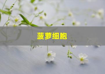 菠萝细胞