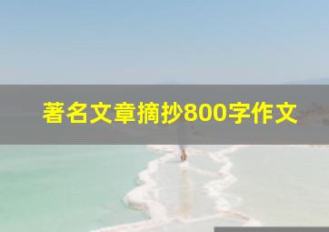 著名文章摘抄800字作文