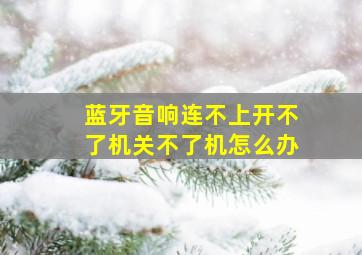 蓝牙音响连不上开不了机关不了机怎么办