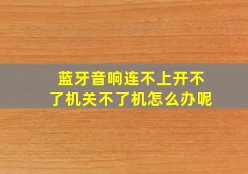 蓝牙音响连不上开不了机关不了机怎么办呢