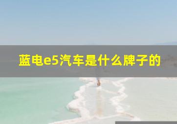 蓝电e5汽车是什么牌子的