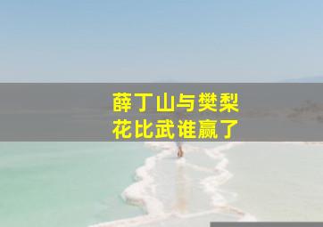 薛丁山与樊梨花比武谁赢了