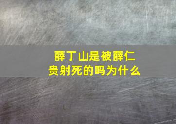 薛丁山是被薛仁贵射死的吗为什么