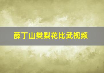 薛丁山樊梨花比武视频