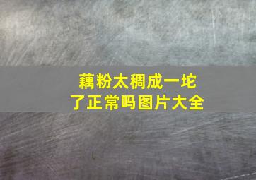 藕粉太稠成一坨了正常吗图片大全